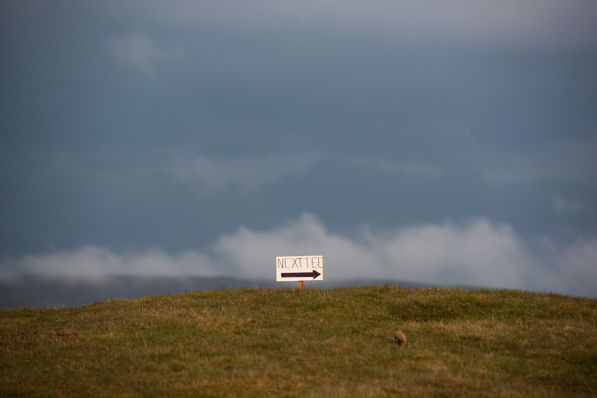 Philip Hatcher-Moore: Phil photographs curious golfers for NYT 